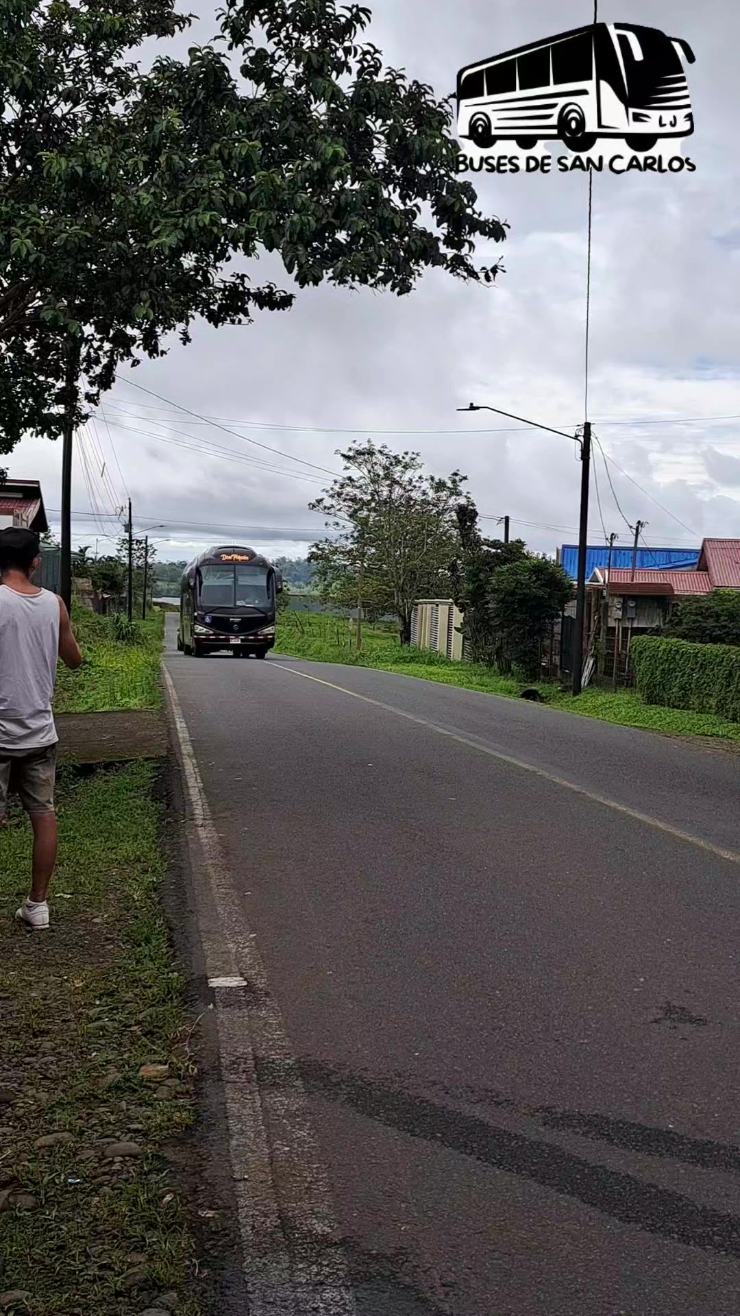 @Leví