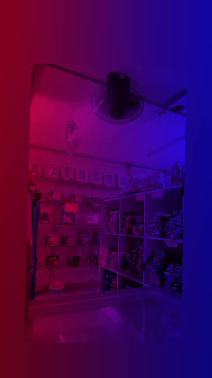 @jarochita ❤️❤️🫀🧠