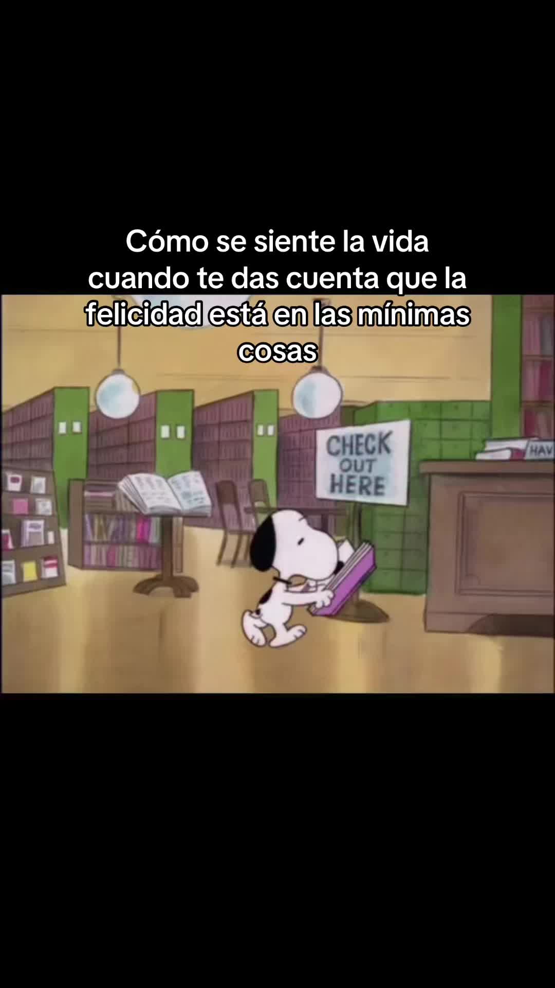 @Little dog 🐶