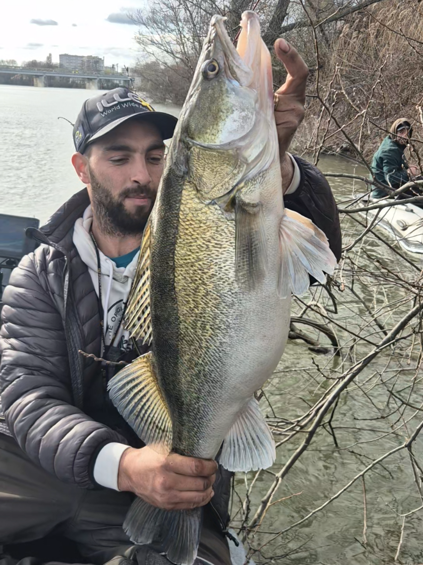 @Gianni 77