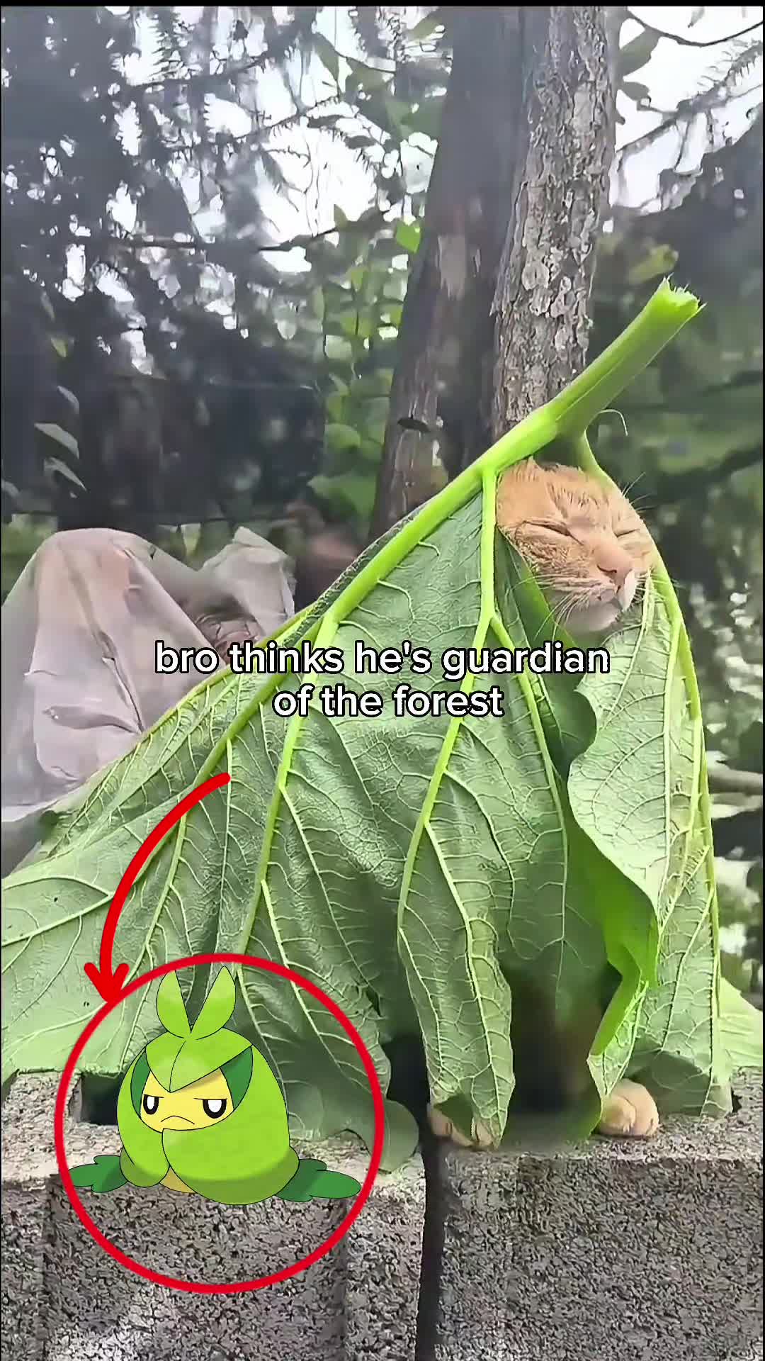 @Bro💀