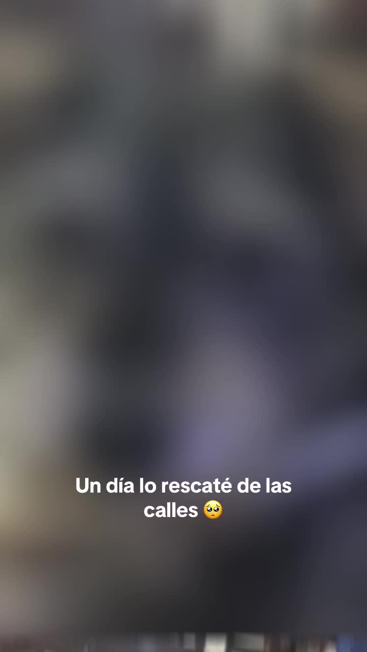 @Fiorella Soto