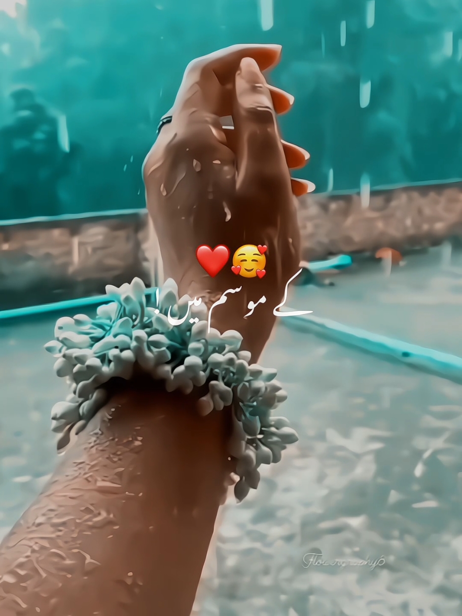 @𝑨𝑪𝑪𝑶𝑼𝑵𝑻 𝑭𝑶𝑹 𝑺𝑨𝑳𝑬