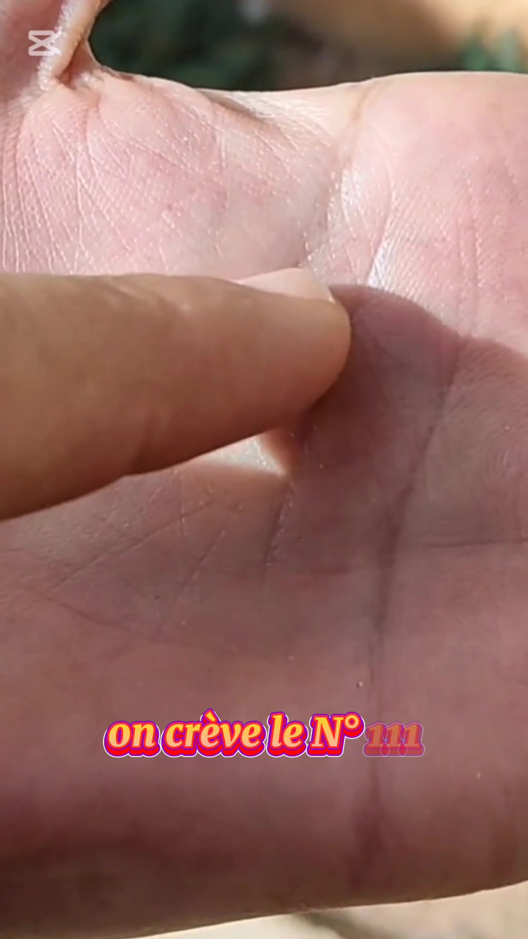 @انواع الزوهري
