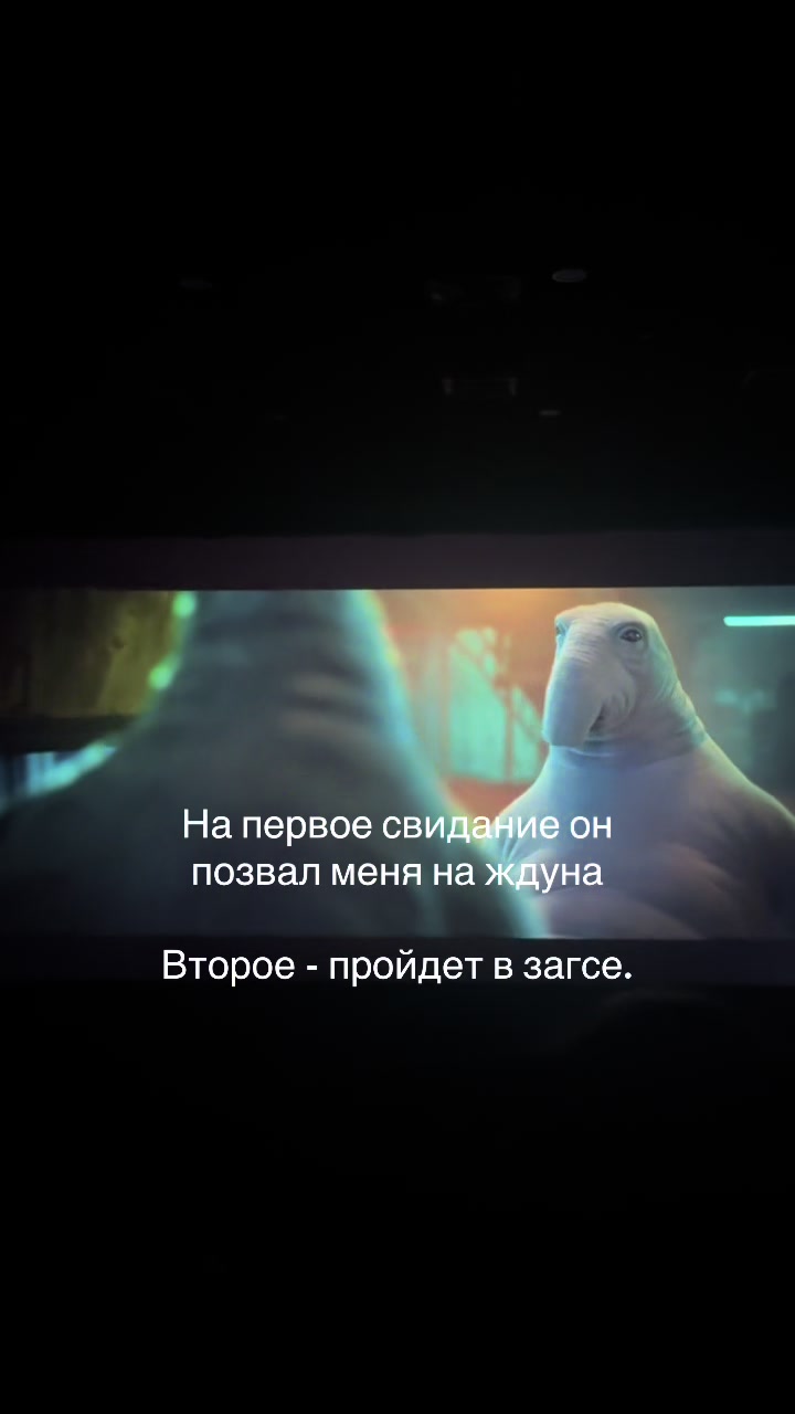 @hamargarita