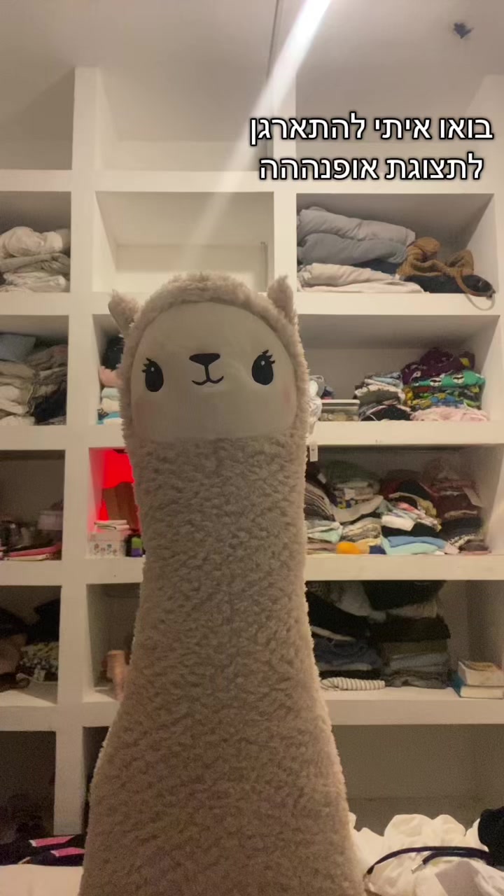 @שלומית הפיימוס 🦙🦙