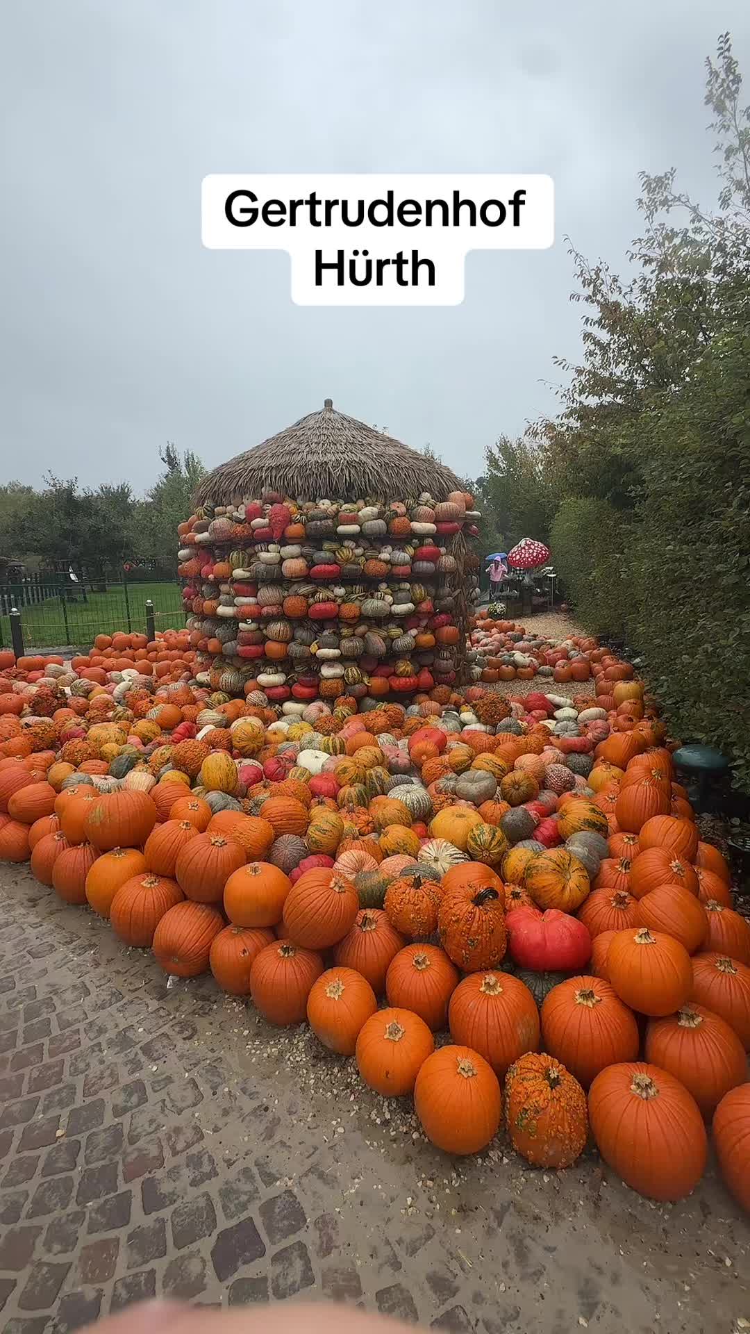 @Bumii_live