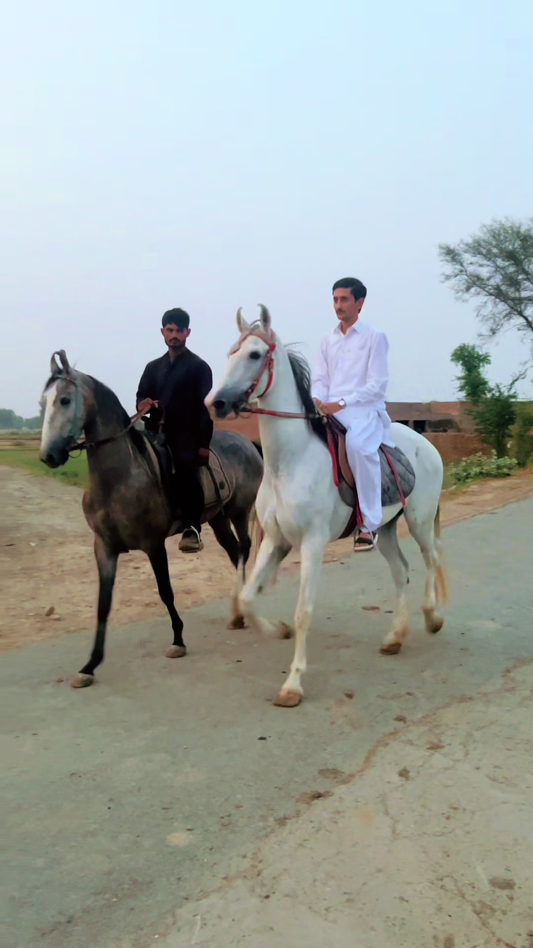 @Hayat Raza