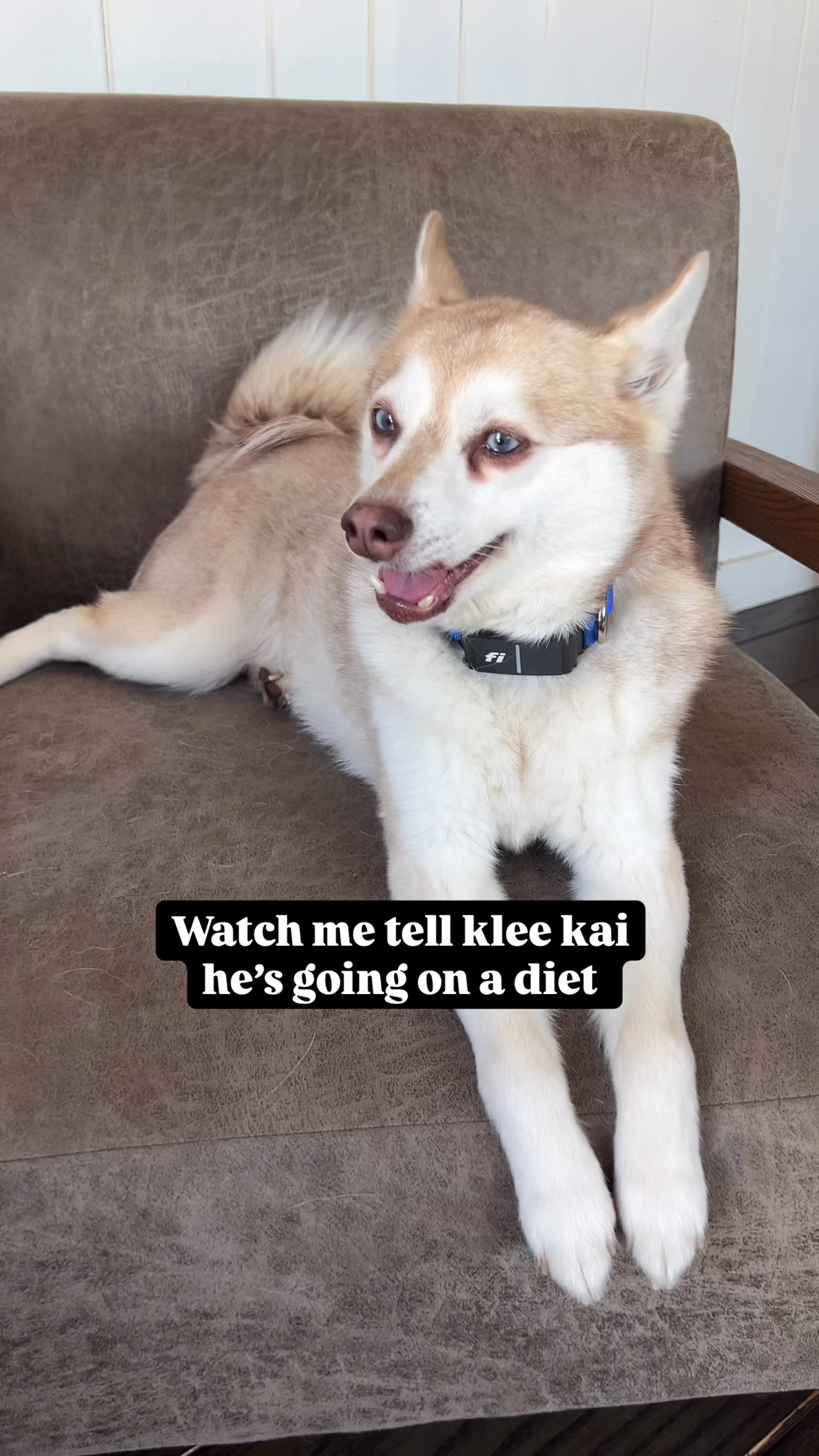 @lifewithkleekai