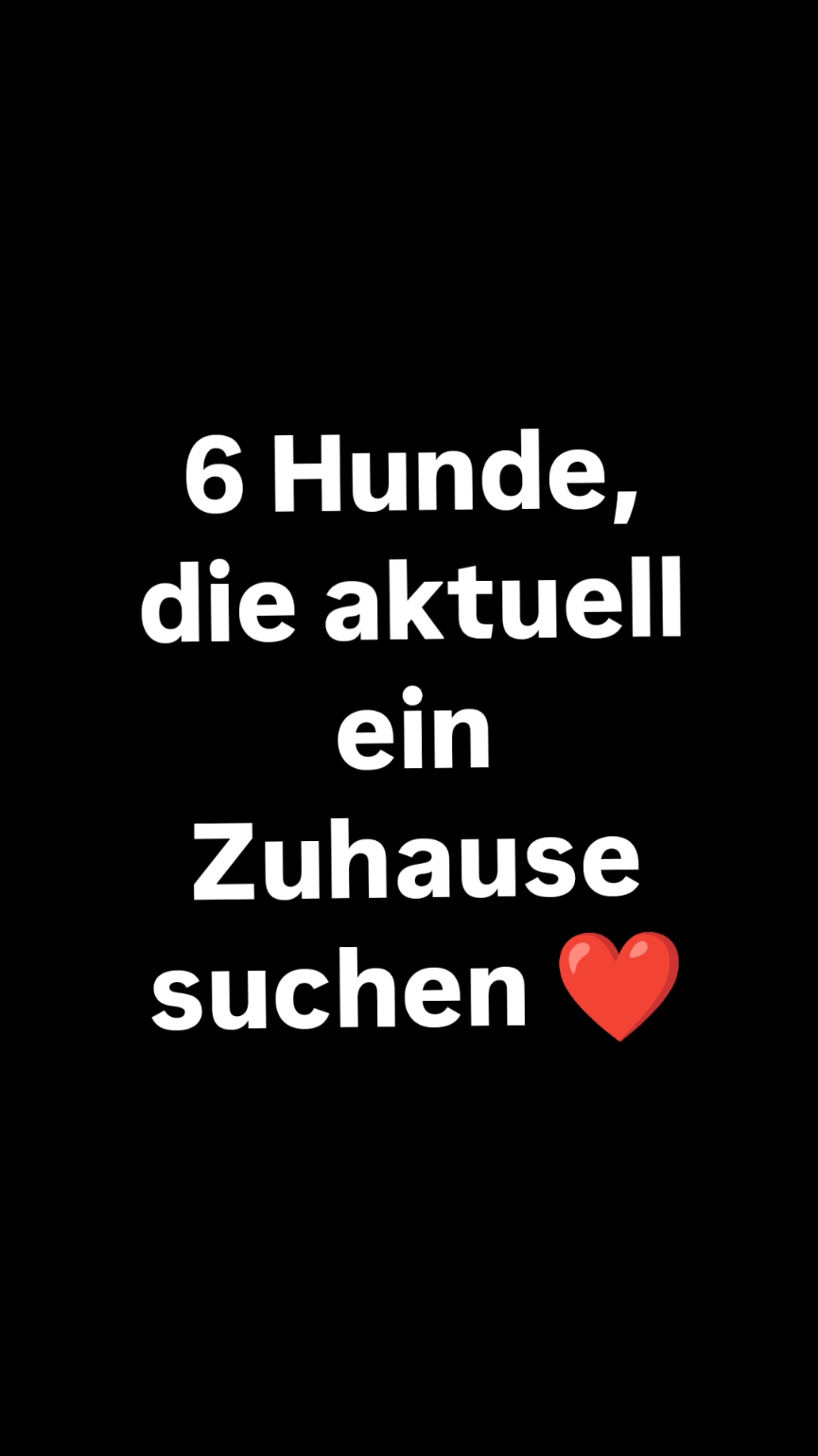 @TierschutzvereinM