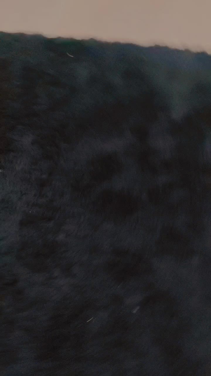 @Anaya 333