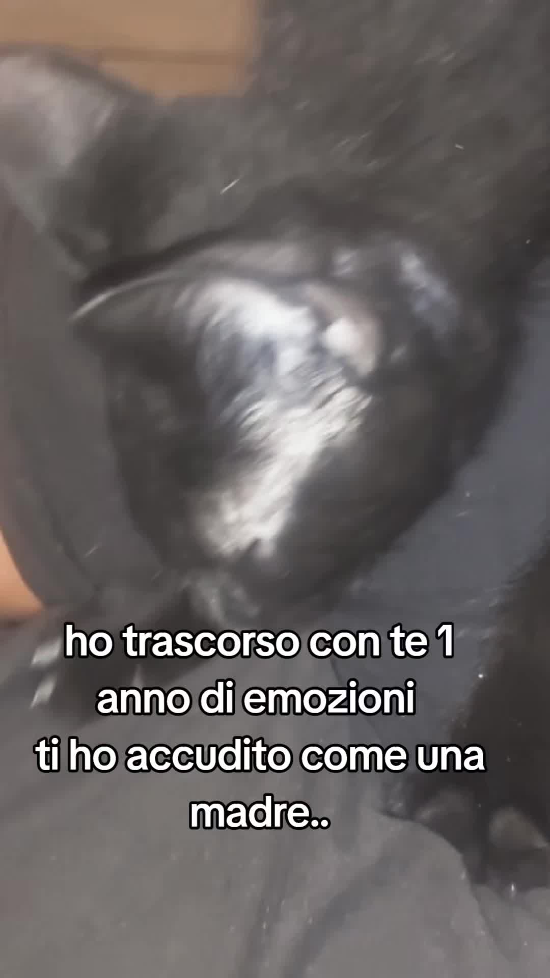 @rosyNapoli1926