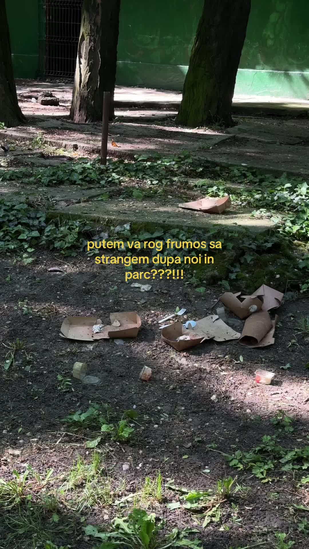 @robertaroata