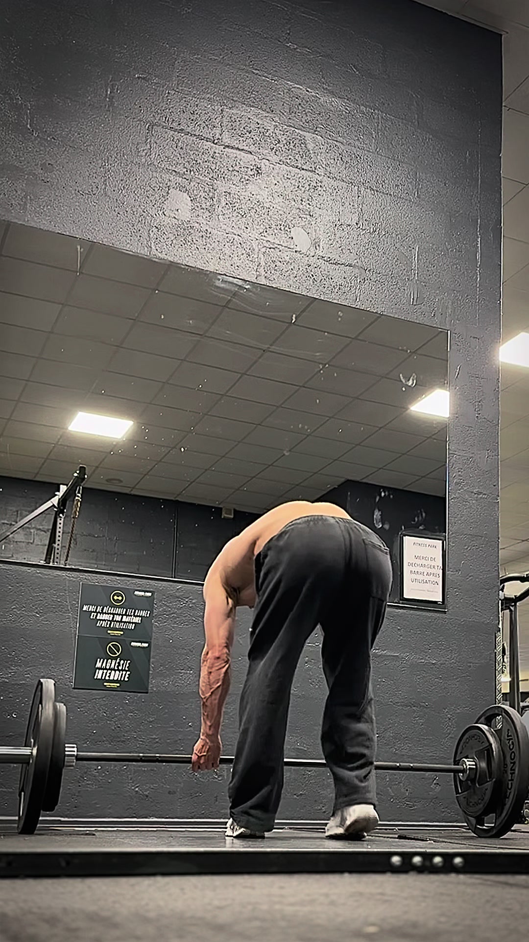 @almasfit1