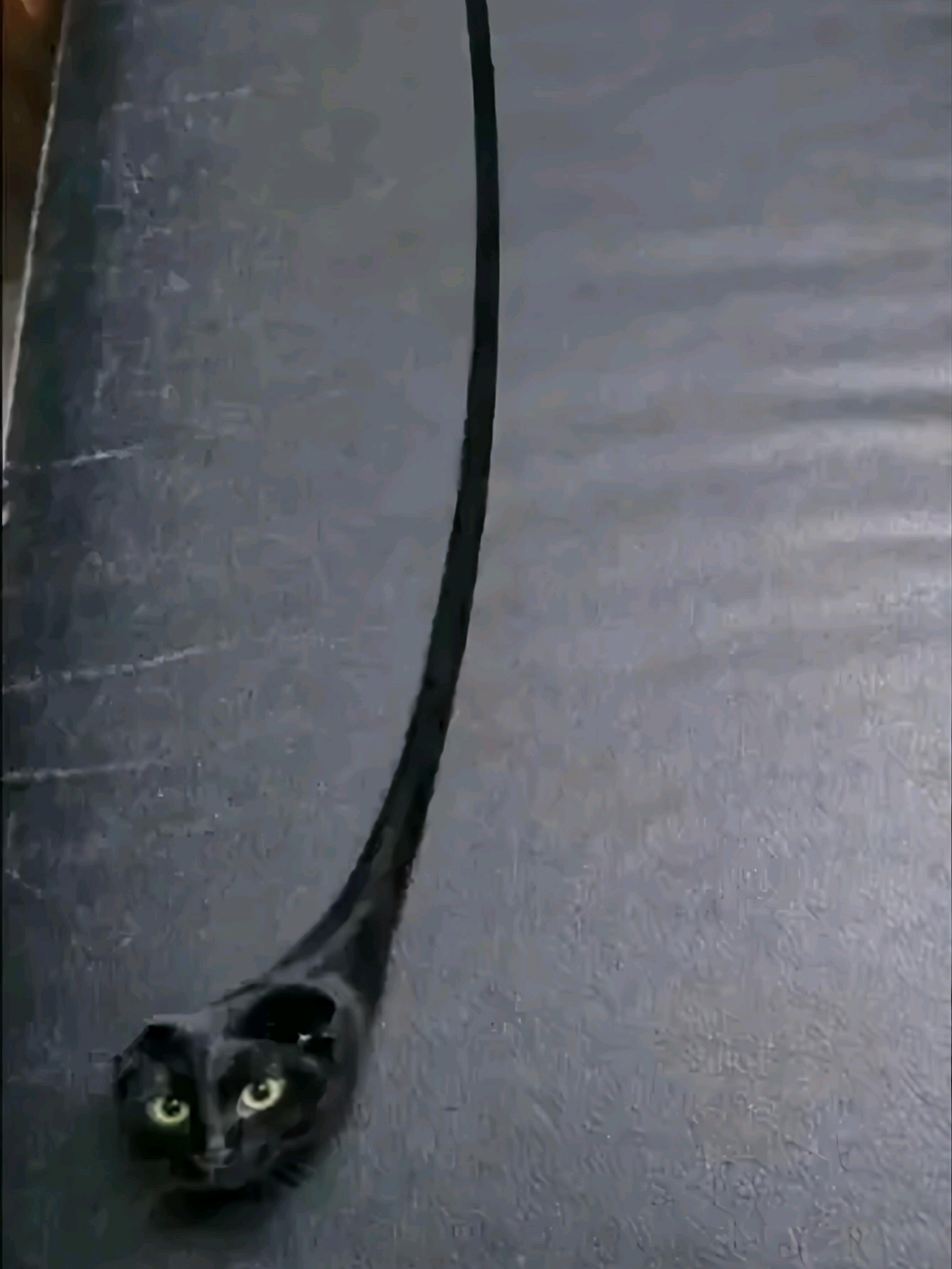 @𝗥𝗔𝗜🧨