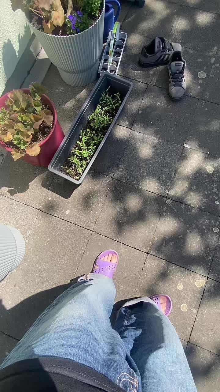 @Maxim_kss🇩🇪🇷🇺