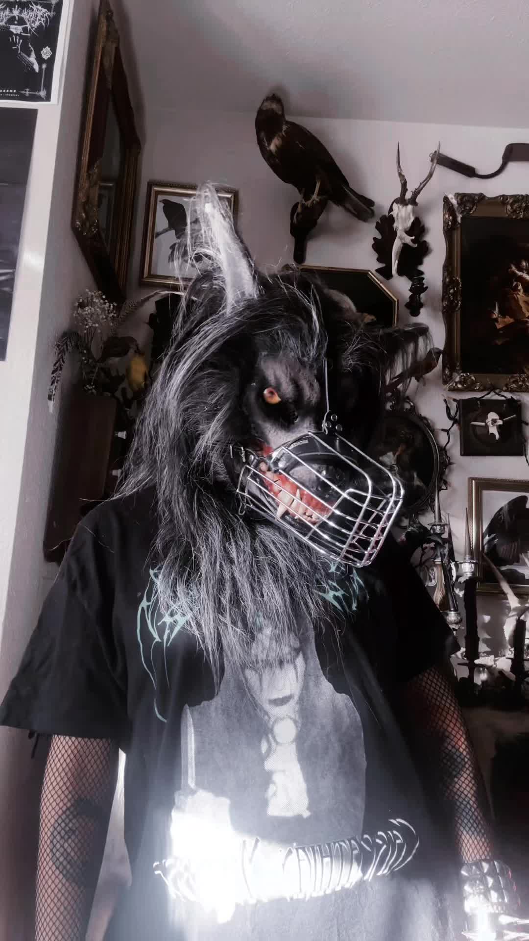 @XlycanbloodXx 𓃦
