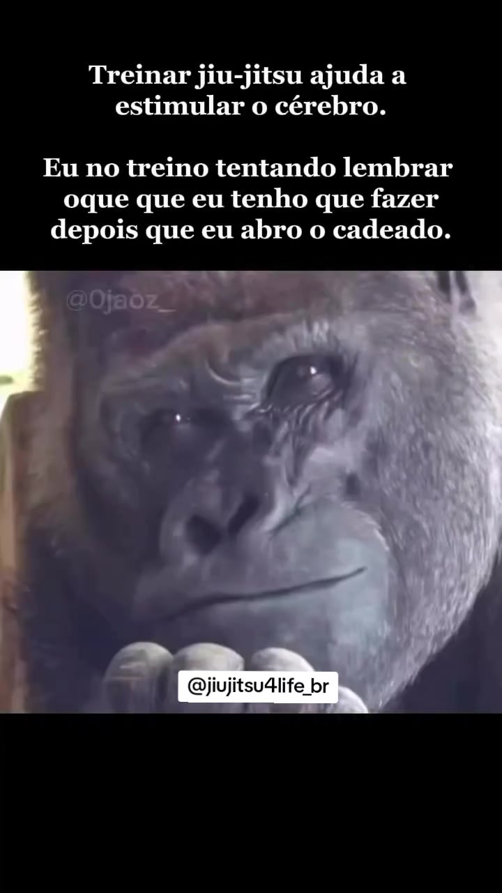 @jiu-jitsu 4 life Brasil