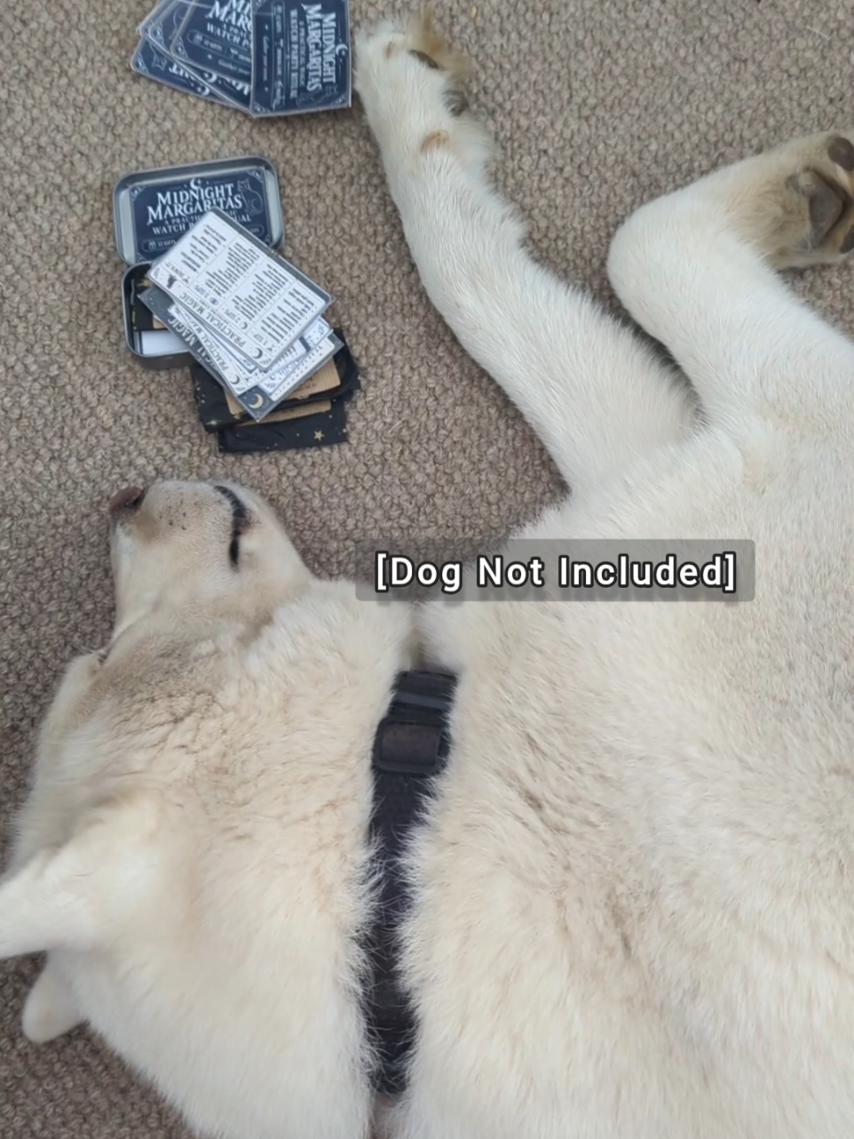 @Hedgewitch & Wolf