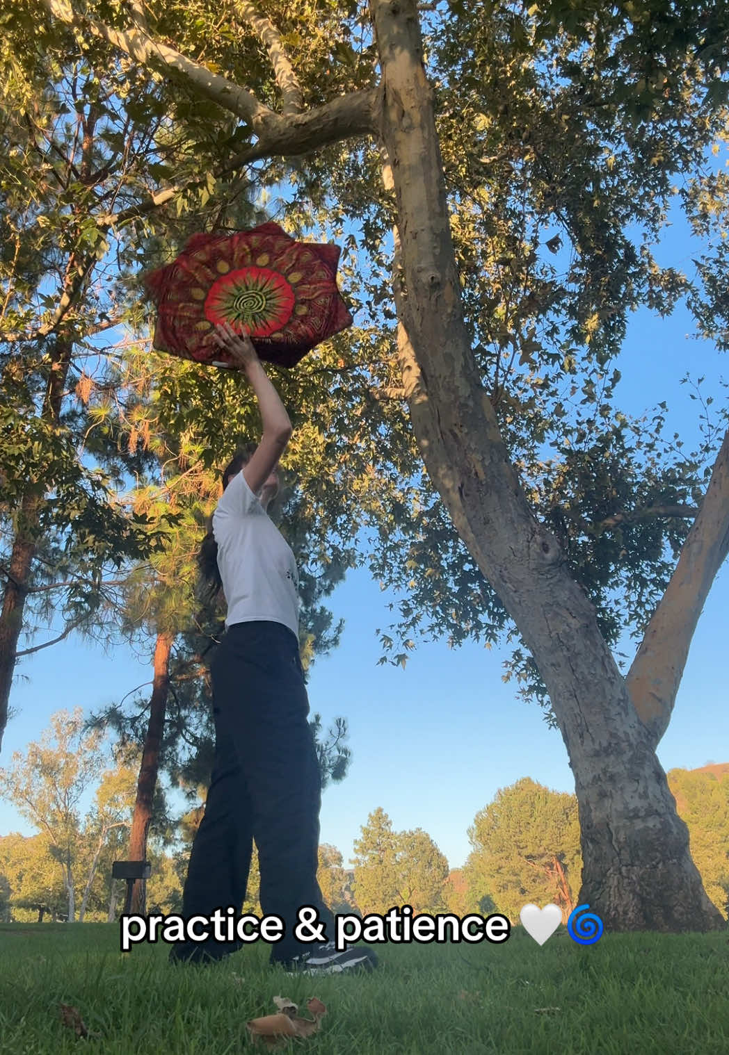 @shanna ๐ lost lands ๐ฆ๐ฆ๐ค