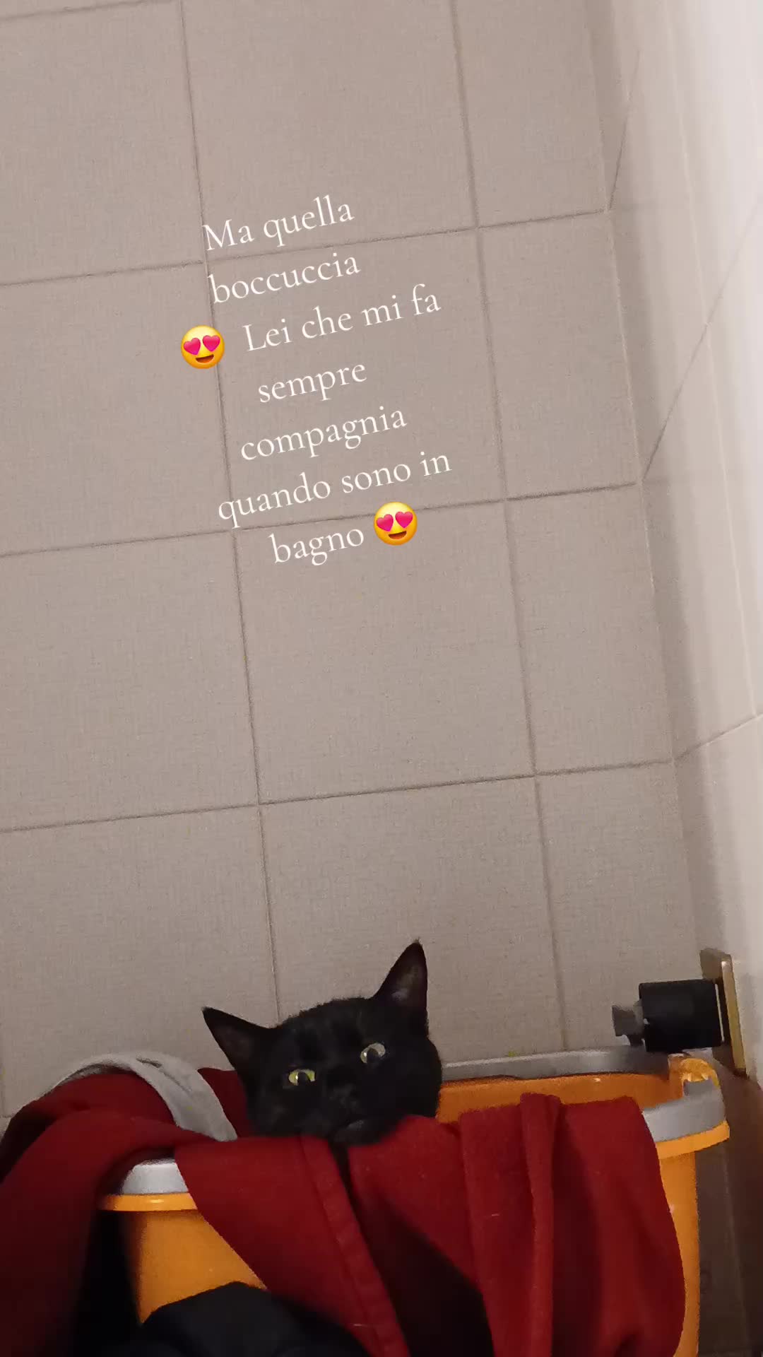 @Susy22