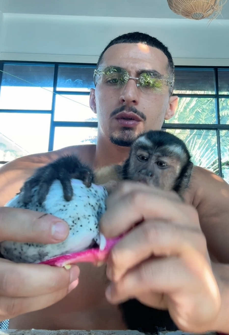 @Tarzane 🦍
