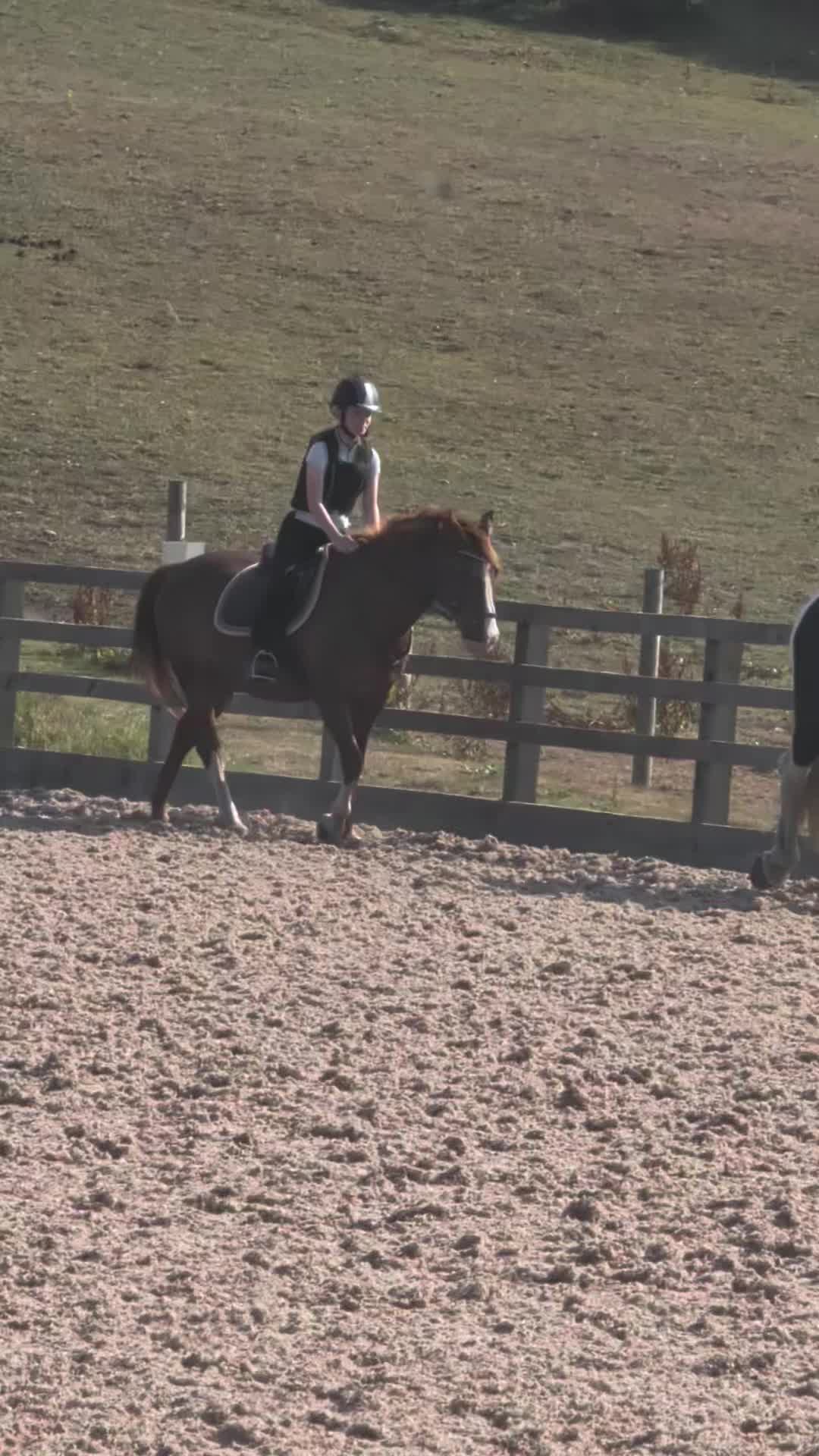 @🐎Riding_with_Holly_🐎