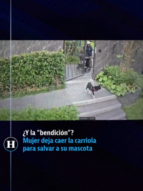 @elheraldodemexico
