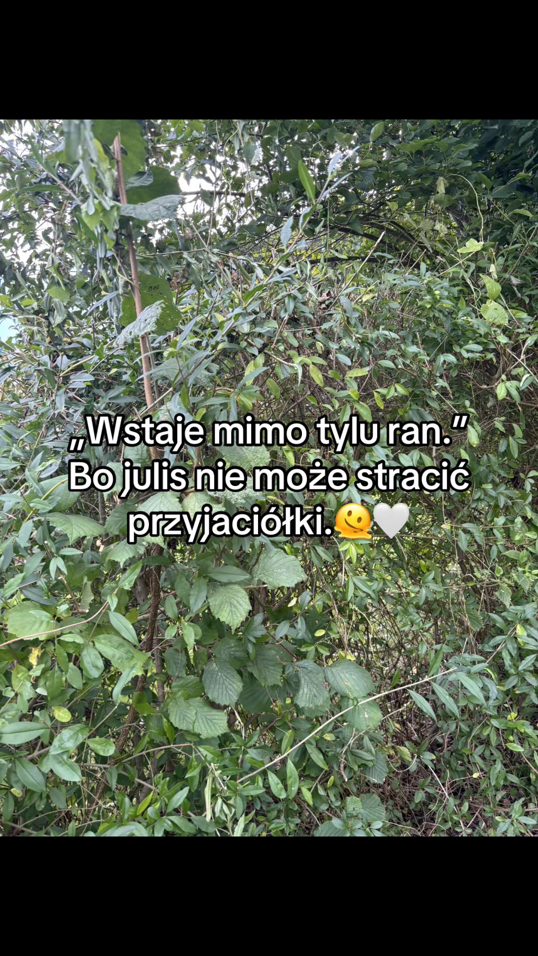 @⋆. 𐙚˚࿔ 4.Polciaꨄ 𝜗𝜚˚⋆
