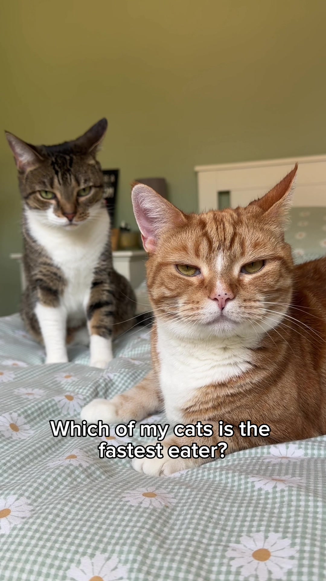 @lola_and_popps