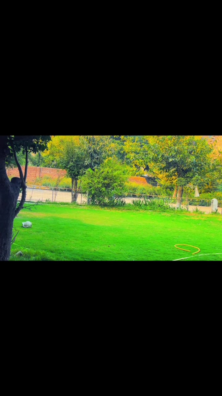 @🪟 Leafy Whispers 🍃