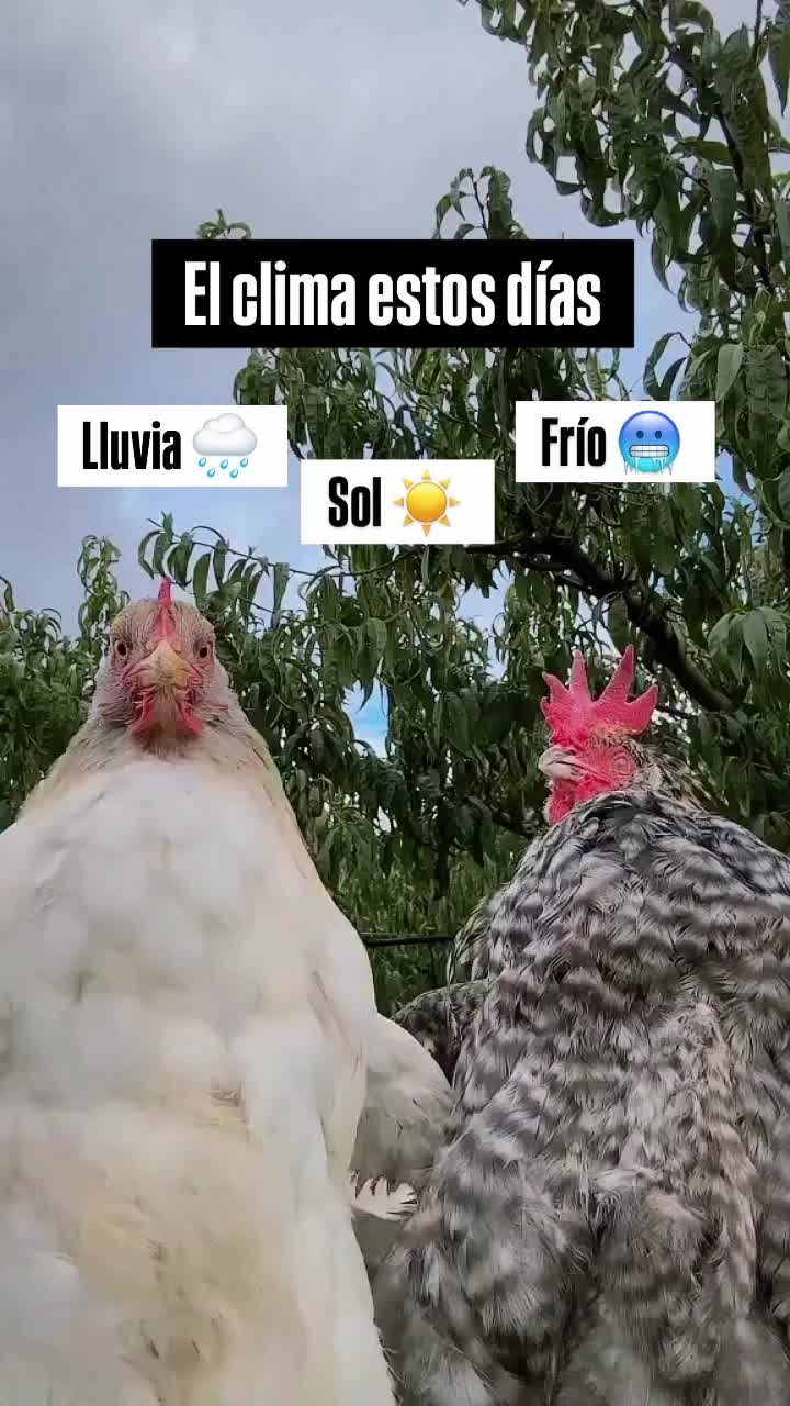 @Vero Roig