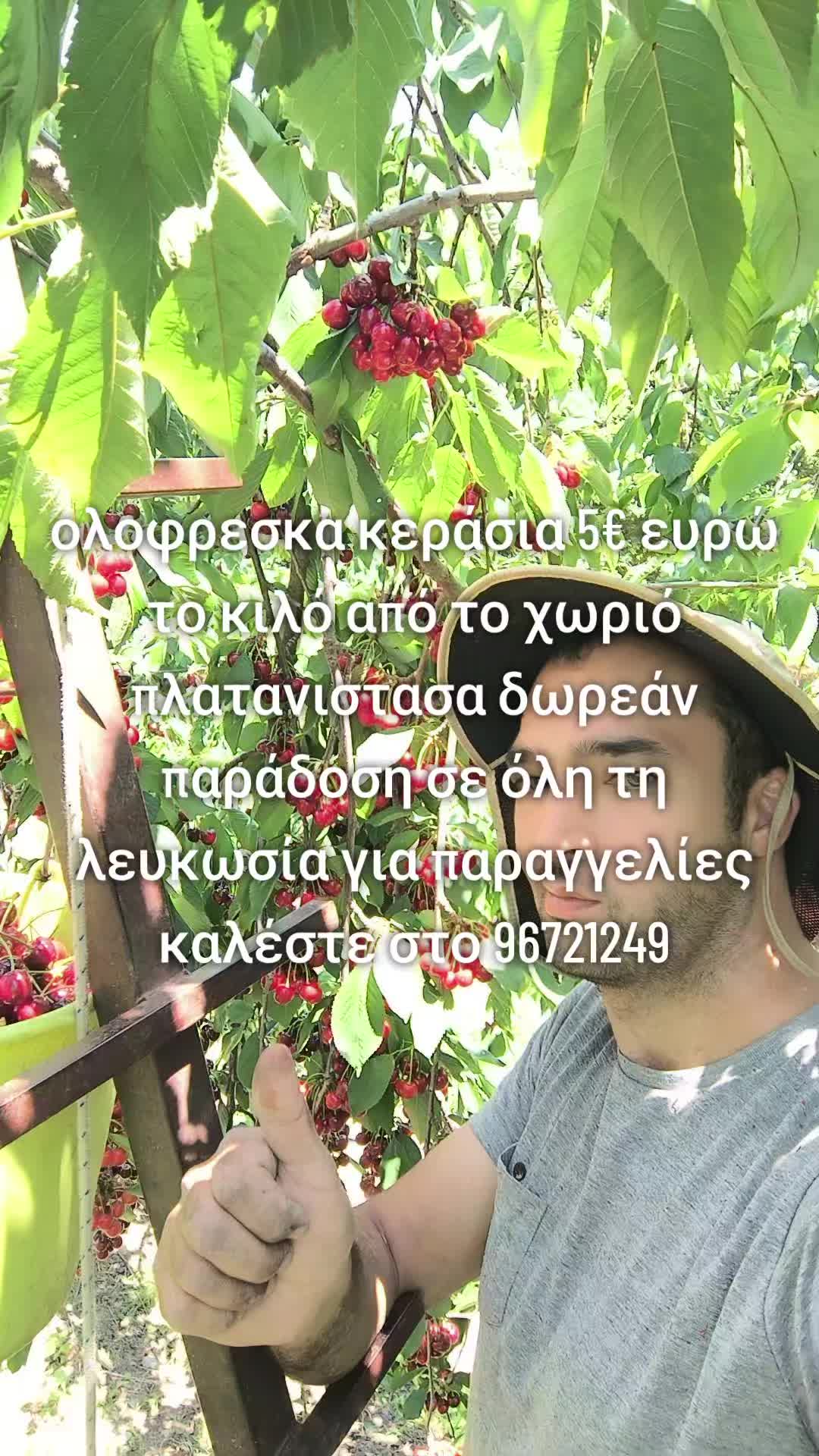 @Antreas Antreou