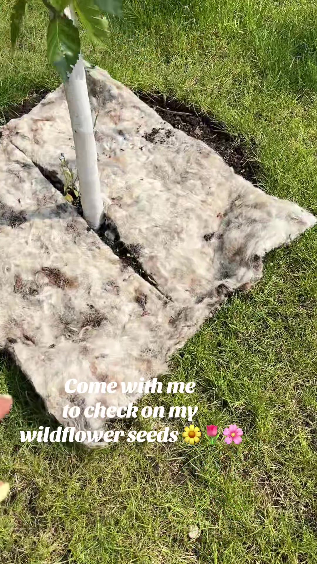@Georgie | Gardening