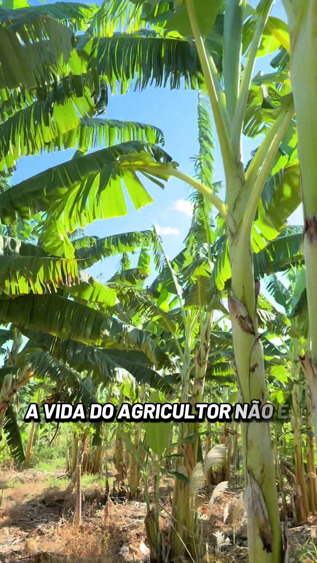 @Cícero Maicon Lopes