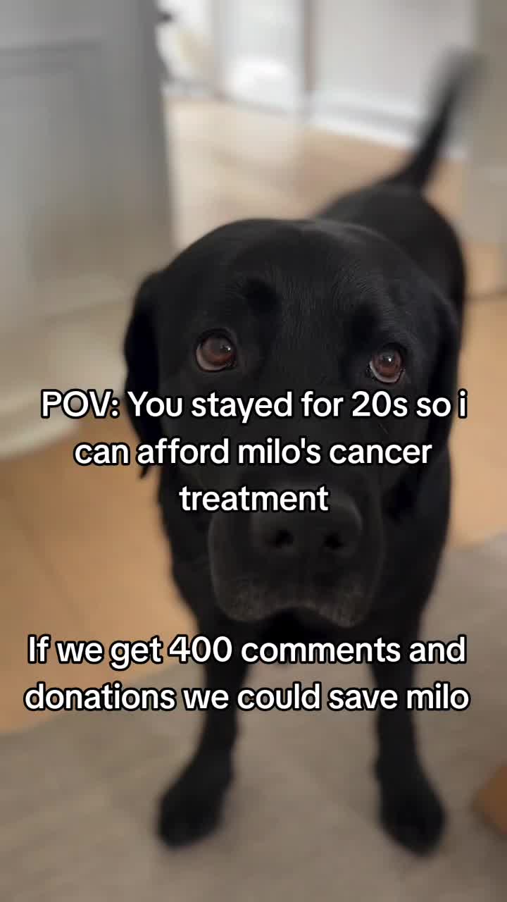 @pakrasj08