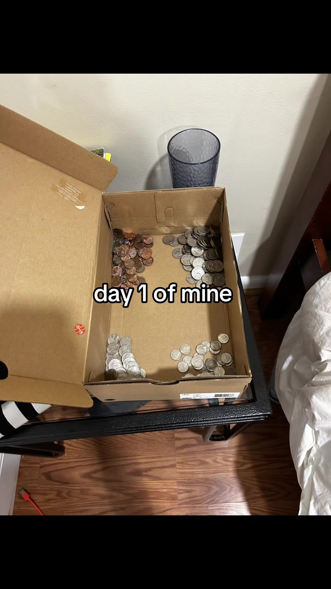 @xenoz