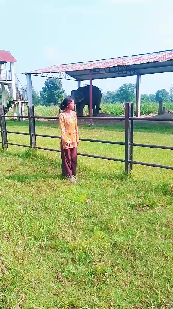 @tirikya kanxii