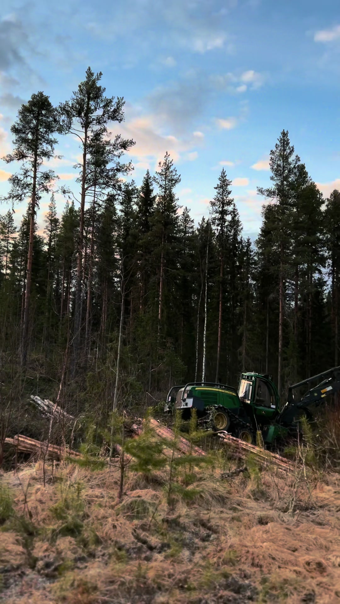 @www.edvard.se