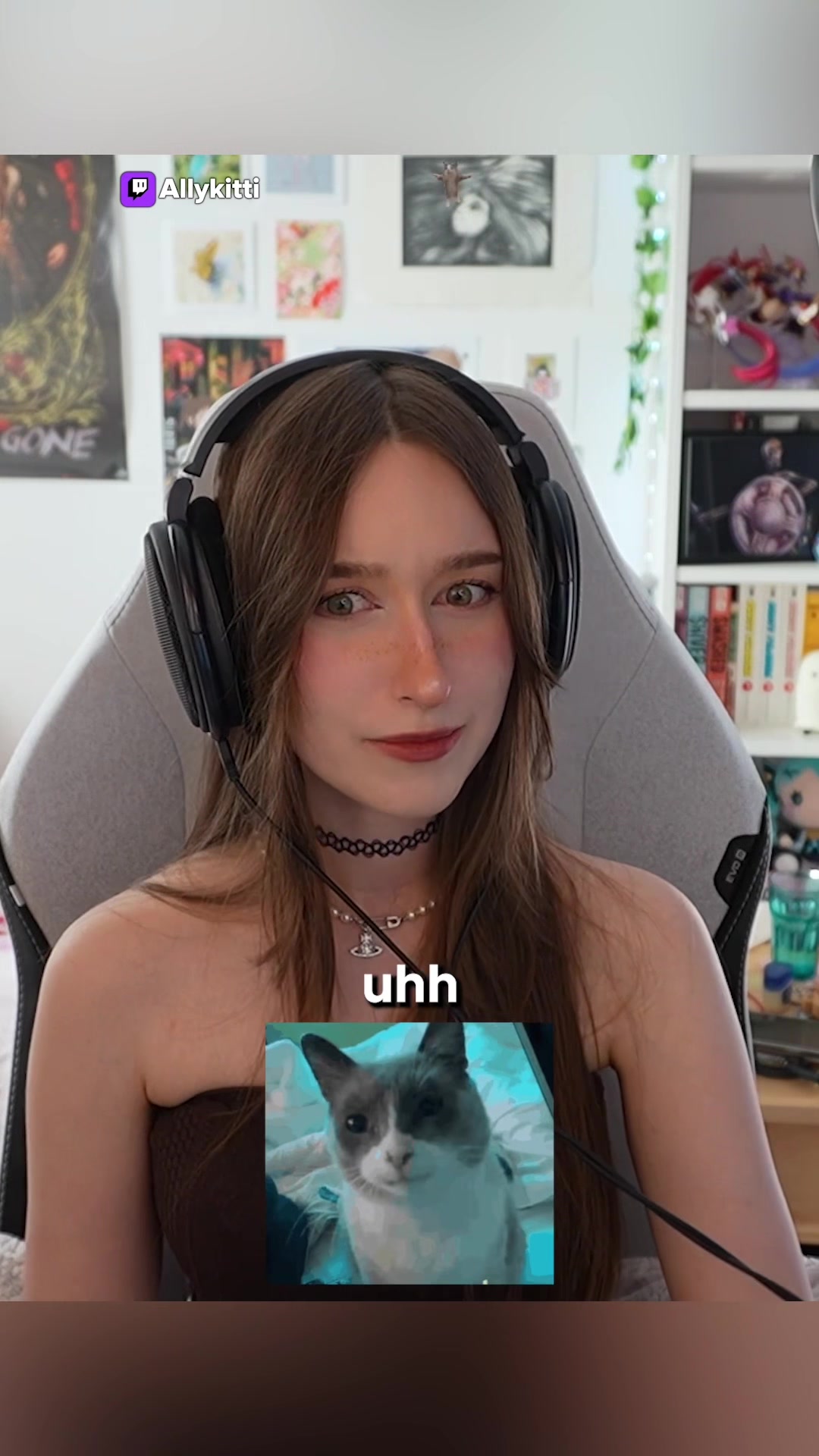 @twitch.tv/allykitti