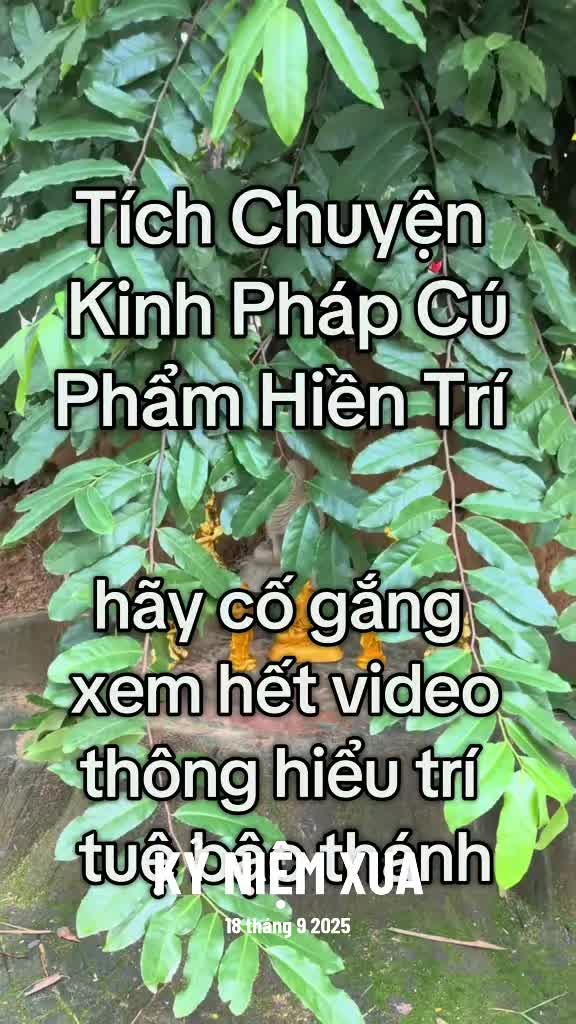 @TK Bảo Ân