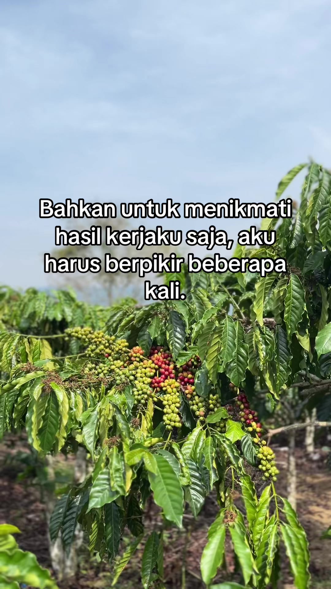 @Prof ☕️ MILENIAL