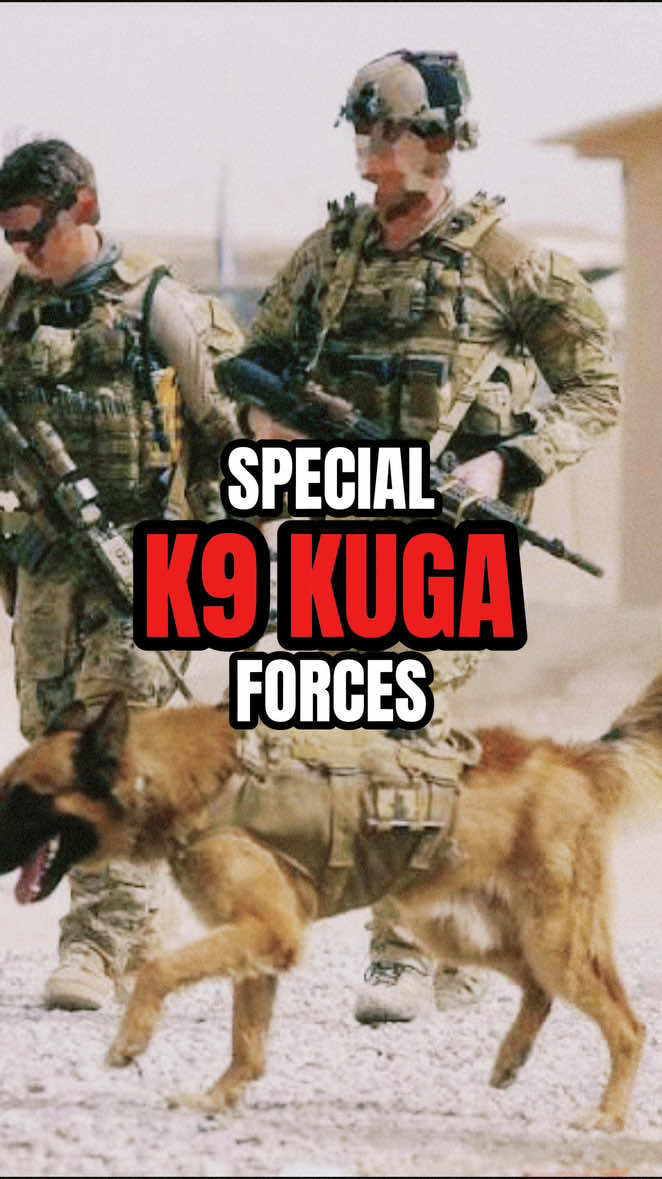 @Special Forces TV