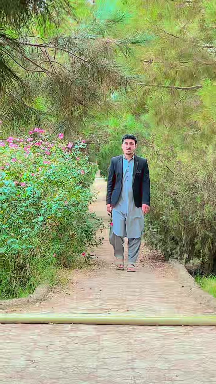 @shinwari