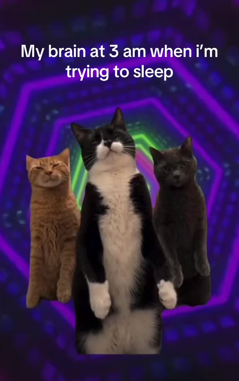 @㋛︎𝓜𝓸𝔁𝔁𝓲𝓮㋛︎