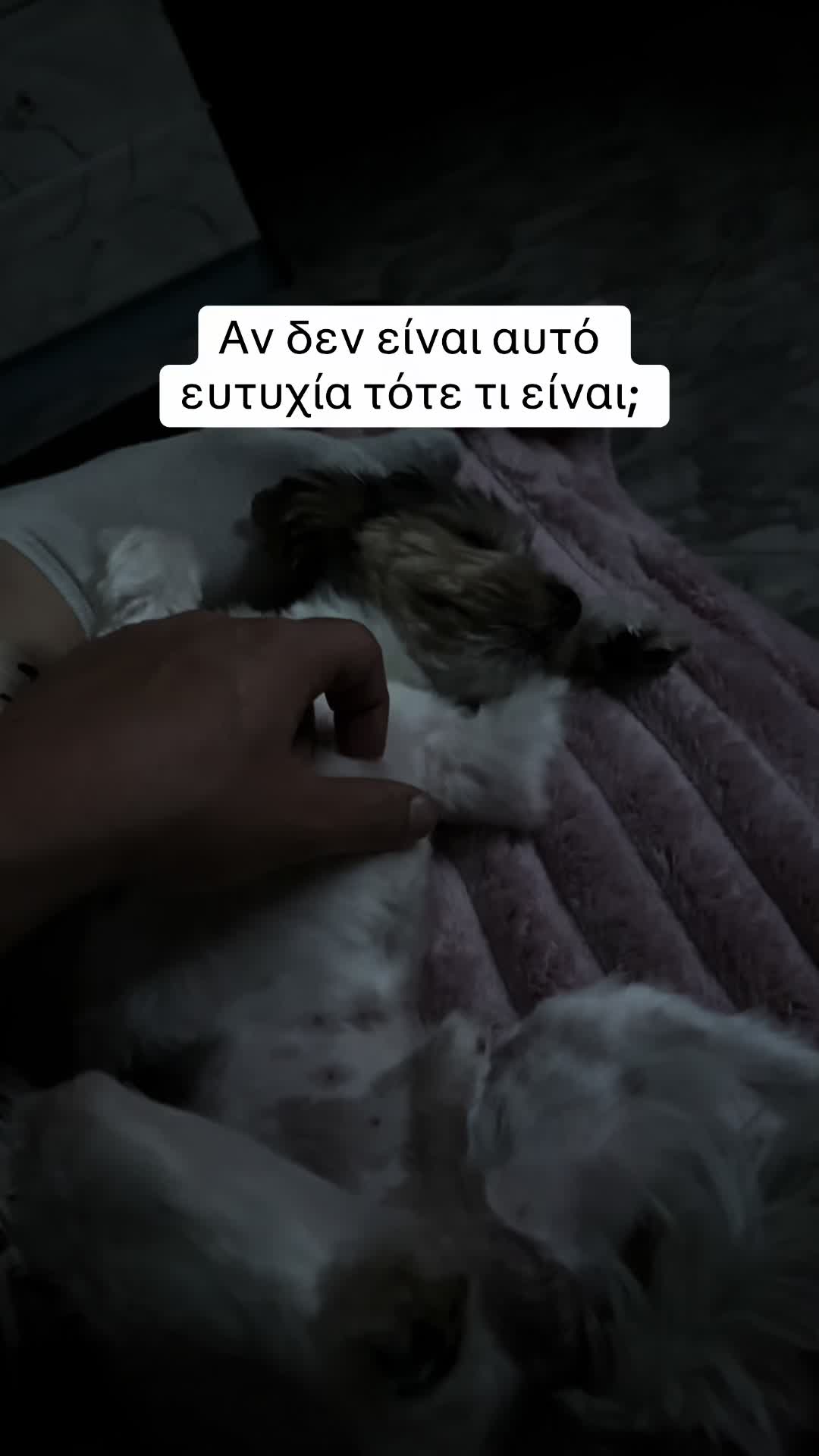 @Martzi.f