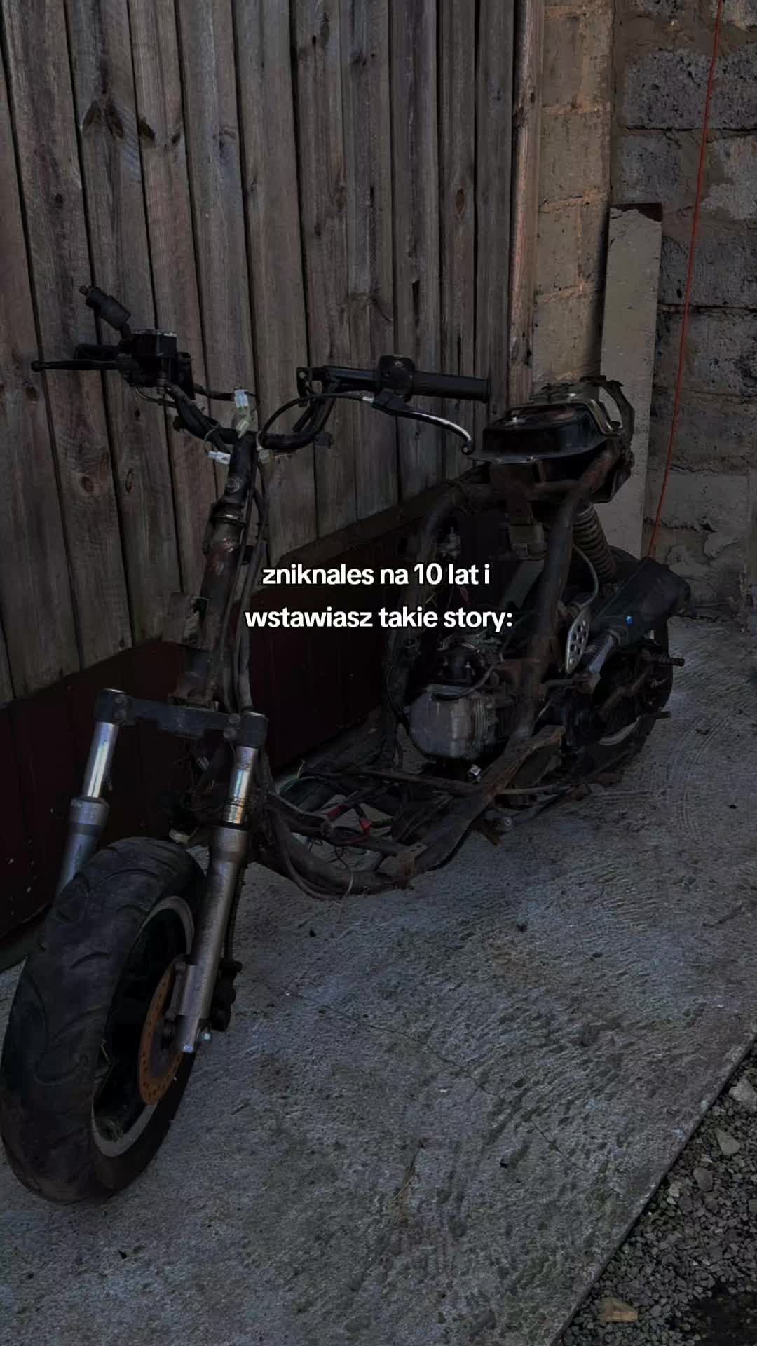 @spalonakrówka😏