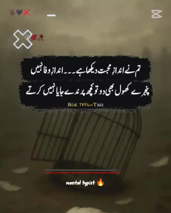 @dulatkhan639