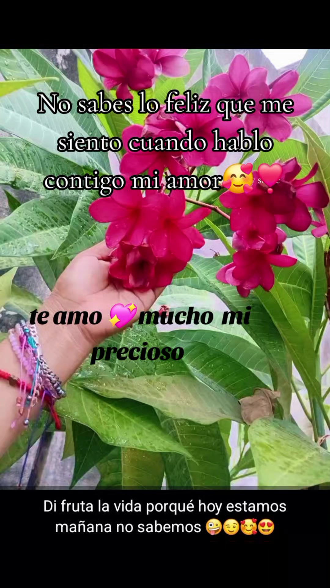 @jarochita ❤️❤️🫀🧠