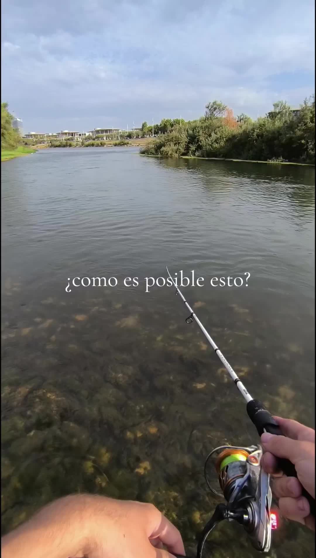 @siluros_delebro